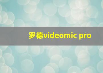 罗德videomic pro